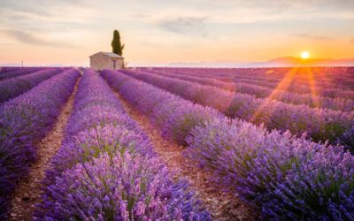 Valensole